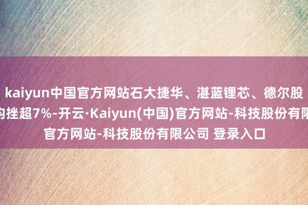 kaiyun中国官方网站石大捷华、湛蓝锂芯、德尔股份、上海洗霸均挫超7%-开云·Kaiyun(中国)官方网站-科技股份有限公司 登录入口
