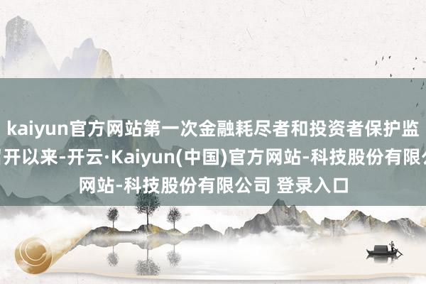 kaiyun官方网站第一次金融耗尽者和投资者保护监管联席会议召开以来-开云·Kaiyun(中国)官方网站-科技股份有限公司 登录入口