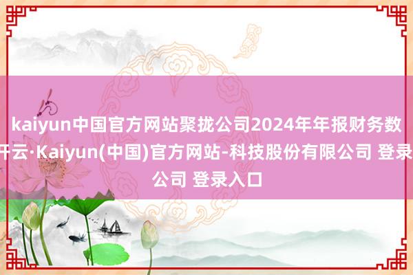 kaiyun中国官方网站聚拢公司2024年年报财务数据-开云·Kaiyun(中国)官方网站-科技股份有限公司 登录入口